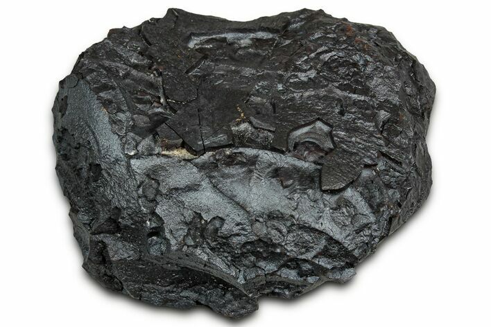 Dragon Scale Stone (Iron, Manganese, Siderite Nodule) #330277